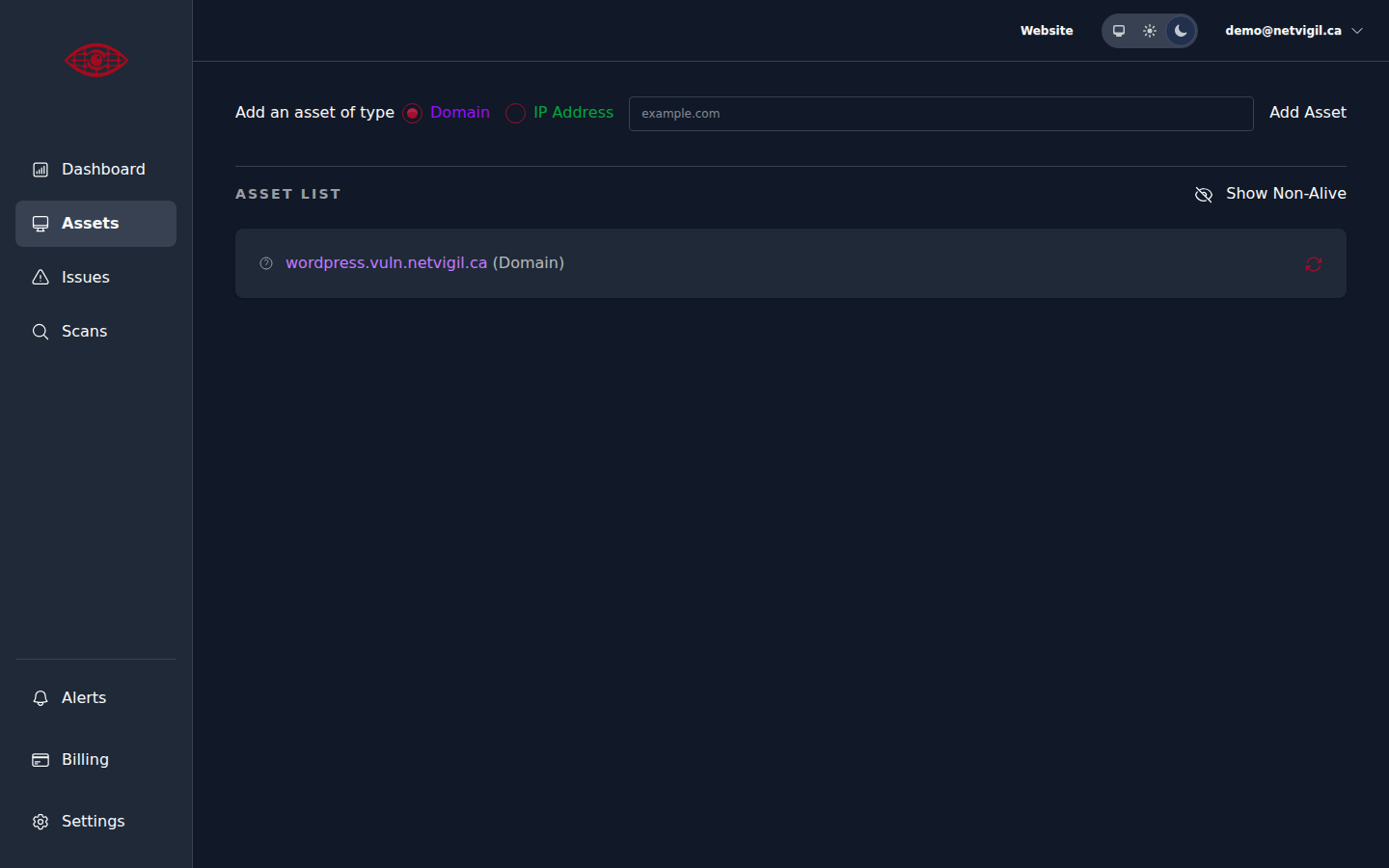 Assets page with domain input field and asset list