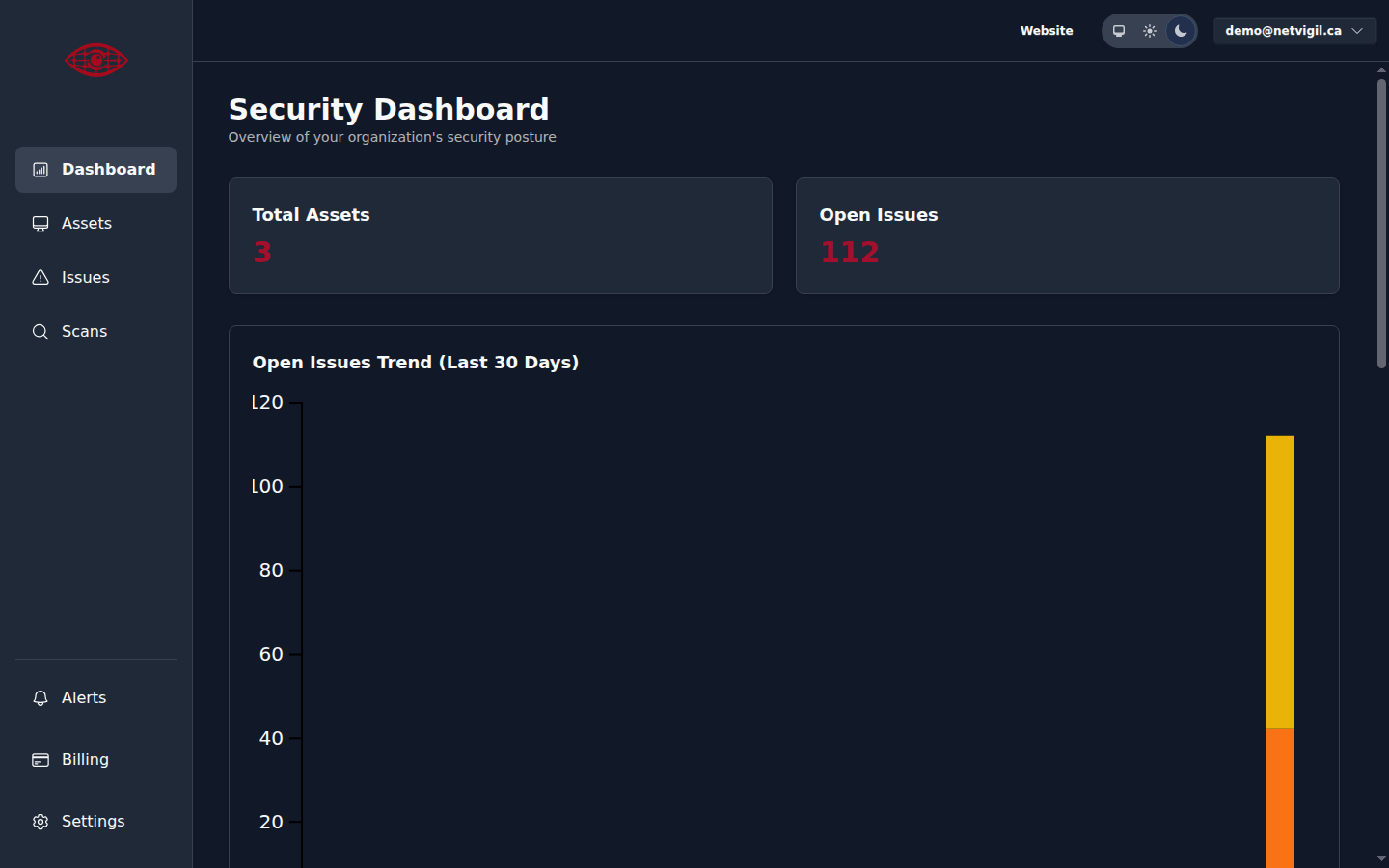 Dashboard showing asset counts, open issues trend chart, and critical issues